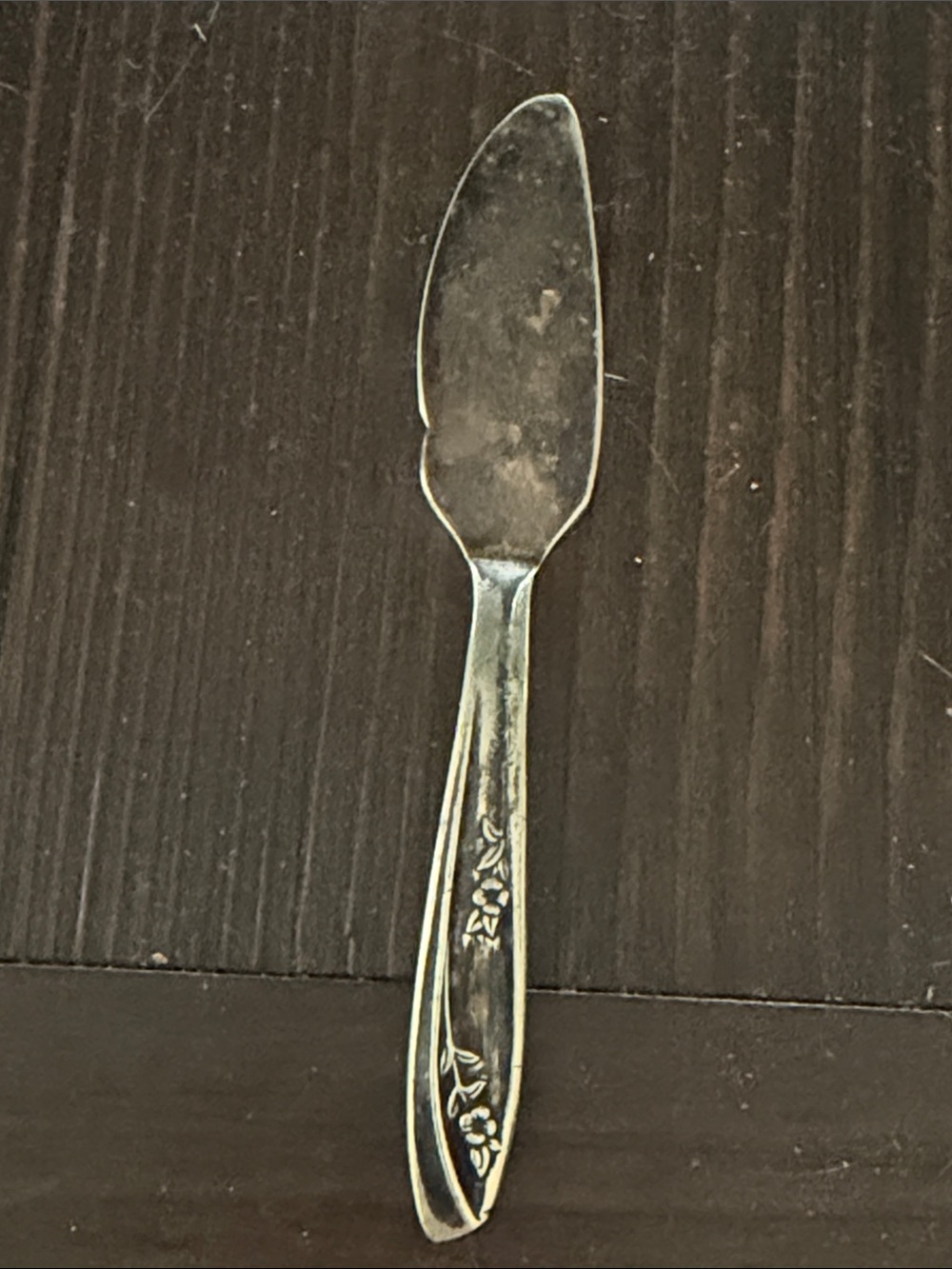 Lady fair rogers bros 1957 cheese spreader